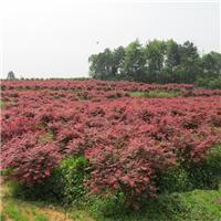 大冶市養(yǎng)殖相關地區(qū)